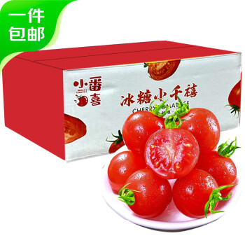 京百味 西红柿千禧小番茄3斤 120颗中果 电白冰糖 新鲜蔬菜源头直发