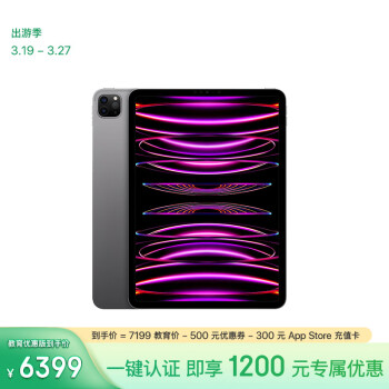 Apple 蘋果 iPad Pro 11英寸 2022款(256G WLAN版/M2芯片L