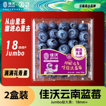 JOYVIO 佳沃 云南蓝莓大果18mm+ 2盒装 约125g/盒 新鲜水果
