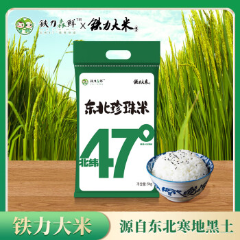 铁力大米 铁力 东北珍珠米5kg 软香大米 圆粒米