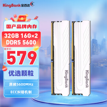KINGBANK 金百达 32GB(16GBX2)套装 DDR5 5600 台式机内存条 银爵