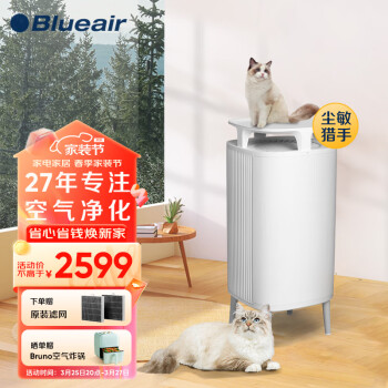 Blueair 布鲁雅尔 5410i 家用空气净化器