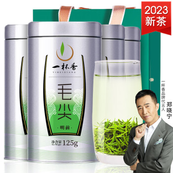 一杯香 茶叶绿茶嫩芽毛尖茶500g2023新茶明前春茶散装礼盒自己喝送袋