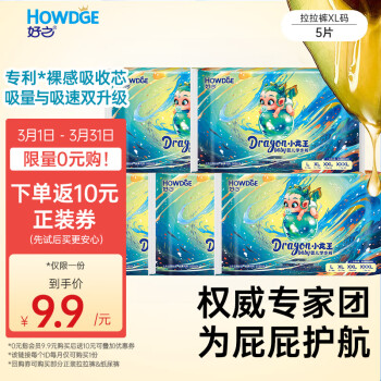 Howdge 好之 小龍王拉拉褲 XL 5片