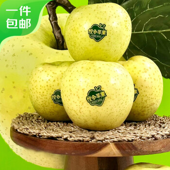 Mr.Seafood 京鲜生 绿王林苹果礼盒 10粒装 果径75mm 新鲜水果 源头直发包邮