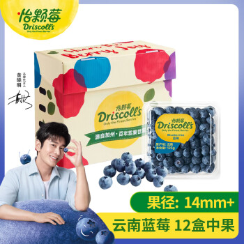 移动端、京东百亿补贴：怡颗莓 Driscoll's 云南蓝莓14mm+ 原箱12盒礼盒装 125g/盒 新鲜水果礼