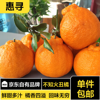 惠寻 丑橘不知火5斤装酸甜应季鲜果 单果重量150g-180g中果