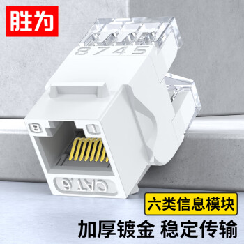 shengwei 胜为 六类网络模块 CAT6千兆网线面板连接器非屏蔽 RJ45水晶头电脑插座连接头直通头 单个装CMK6004H