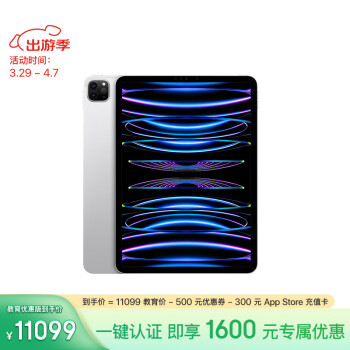 Apple 苹果 iPad Pro 11英寸 2022年款(1TB WLAN版/M2芯片/MNXL3CH/A)银色