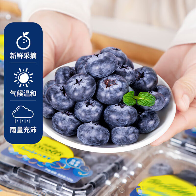 鲜程祥合 新鲜蓝莓 酸甜口感新鲜水果 孕妇宝宝可食用 精选 蓝莓 6盒装 单果12-14m m 券后69.8元