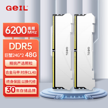 GeIL 金邦 48G（24G*2） DDR5-6200  台式机电脑内存条 巨蟹马甲条系列白色