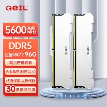 GeIL 金邦 96G（48G*2） DDR5-5600  臺式機電腦內(nèi)存條 巨蟹馬甲條系列白色