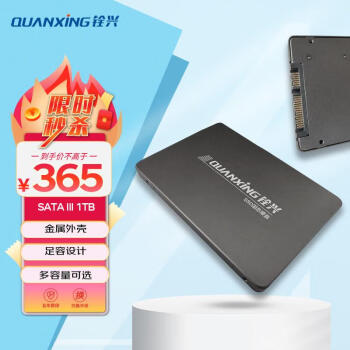 QUANXING 铨兴 C201 SATA3.0 SSD固态硬盘 1TB