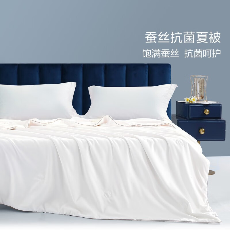 家裝季、PLUS會(huì)員：BLISS 百麗絲 100%蠶絲抗菌夏薄被 200*230cm 119.85元（雙重優(yōu)惠）