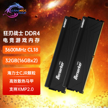 SK hynix 海力士 新乐士（SAMNIX）台式机内存条 32GB(16GBx2)DDR4 3600MHz C18 黑色 海力士CJR 狂刃战士电竞游戏