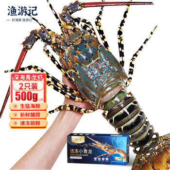 渔游记 YUYOUJI）印尼小青龙虾500g/2只 超大龙虾 花龙海鲜水产冷冻大虾生鲜 虾类