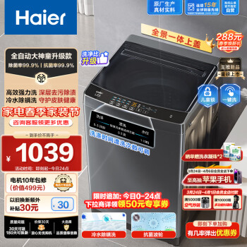 Haier 海尔 波轮洗衣机全自动10公斤  EB100Z33Mate1