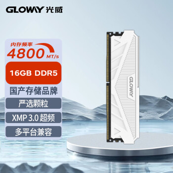 GLOWAY 光威 16GB DDR5 4800 台式机内存条 天策系列 助力AI