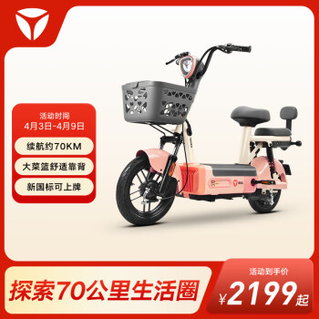 Yadea 雅迪 贝塔 新国标电动自行车 TDT2451Z