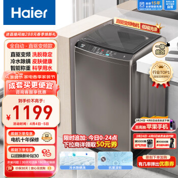 Haier 海尔 EB100B20Mate1 变频波轮洗衣机 10kg 灰色