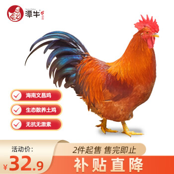 潭牛 海南文昌鸡整鸡1kg散养土鸡肉生鲜冷冻 供港品牌椰子鸡走地鸡