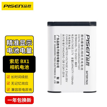 PISEN 品胜 TS-DV001 相机电池 3.7V 1100mAh