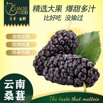佳宝臣 VEYBOUSON 新鲜桑葚现摘无沙免洗 净重5斤装 ￥50.9