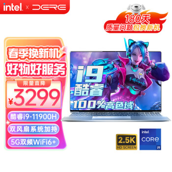 DERE 戴睿 幻影GT （酷睿i9-11900H、核芯显卡、16GB、512GB SSD、2.5K、IPS、60Hz）