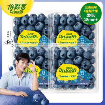 怡颗莓 Driscoll's云南蓝莓Jumbo超大果18mm+ 4盒125g/盒新鲜水果
