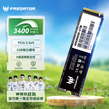 PREDATOR 宏碁掠夺者 掠夺者 GM3500系列 M.2 固态硬盘 1TB （PCI-E3.0）