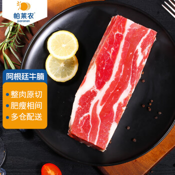 帕莱农 阿根廷进口牛腩肉原切500g