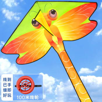 FEIERDUN 飞尔顿 FED运动风筝潍坊大型成人儿童户外玩具镂空轮微风易飞+线轮