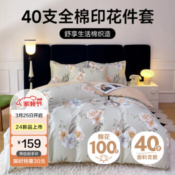 Letsleep 绘睡 40S床上四件套 100%纯棉 被套床单枕套全棉印花套件被套200*230cm