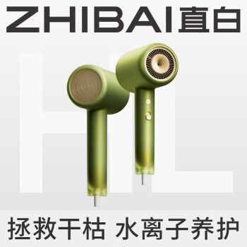 ZHIBAI 直白 HL6 电吹风 静谧绿