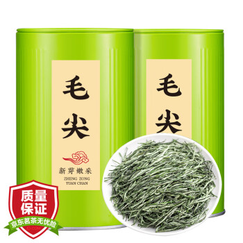 天洲溪 茶叶 信阳毛尖茶叶绿茶 2023新茶明前春茶嫩芽茶叶自己喝罐装250g