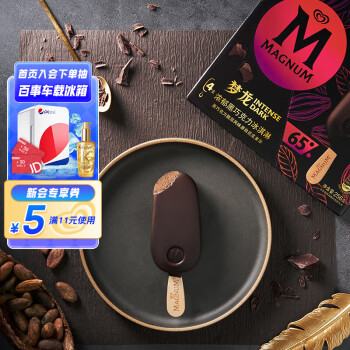 MAGNUM 梦龙 浓郁黑巧克力冰淇淋 256g