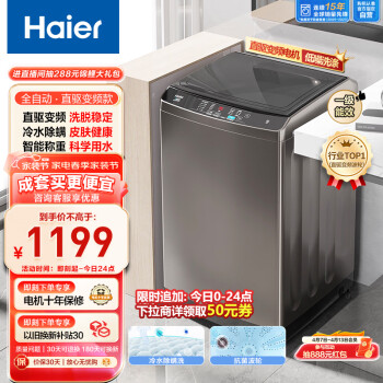 Haier 海尔 EB100B20Mate1 变频波轮洗衣机 10kg 灰色