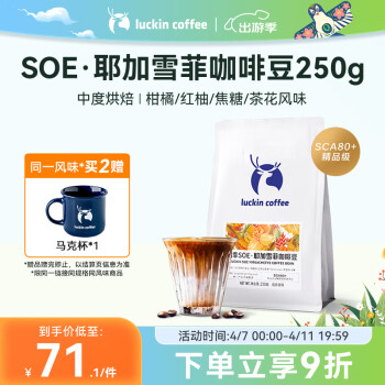 瑞幸咖啡 中烘焙 SOE耶加雪菲 咖啡豆 250g