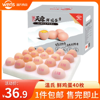 WENS 温氏 供港品质鲜鸡蛋 40枚 2kg