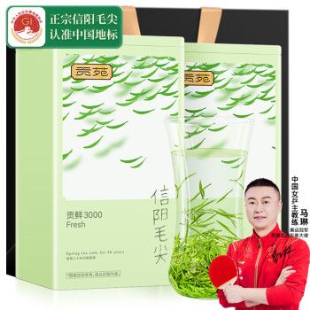 贡苑 茶叶特级信阳毛尖绿茶2023新茶明前嫩芽散装茶叶自己喝礼盒装250g