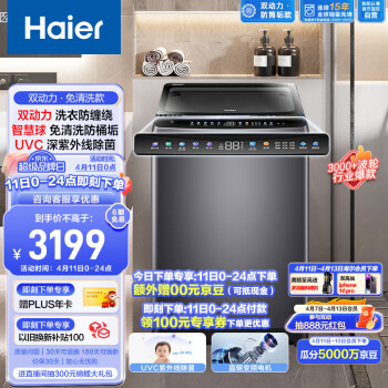 Haier 海尔 EMS100B26Mate6 变频波轮洗衣机 10kg 玉墨银