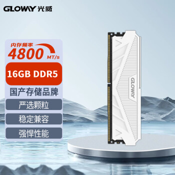 GLOWAY 光威 16GB DDR5 4800 台式机内存条 天策系列 助力AI