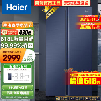 Haier 海尔 星蕴系列对开门冰箱 618L BCD-618WGHSSEDBL