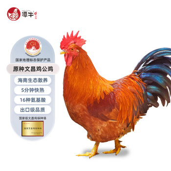 国家地理标志产产品，潭牛 果林散养110天正宗文昌鸡小公鸡1kg  32.9元包邮