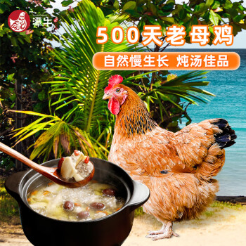 潭牛 500天老母鸡1. 2kg 农家散养土鸡 走地鸡  炖汤煲汤冷冻鸡肉