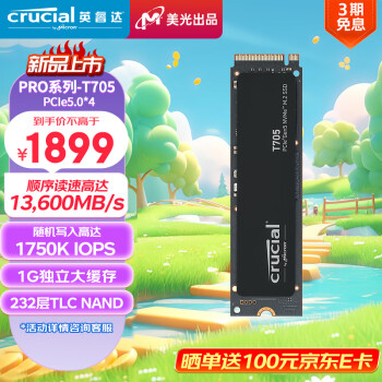 Crucial 英睿达 T705 PRO M.2 NVMe 固态硬盘 1TB（PCIe 5.0）
