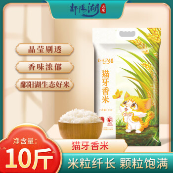 鄱阳湖 猫牙米5kg大米籼米长粒丝苗米10斤装南方大米