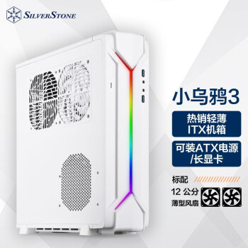 银欣 RVZ03-ARGB MINI-ITX机箱 非侧透 白色