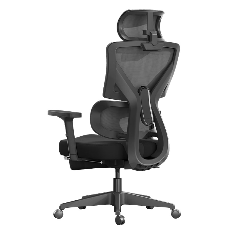plus会员：黑白调P5双背款 人体工学椅电脑椅子 532.52元（使用居家卡492.52元）