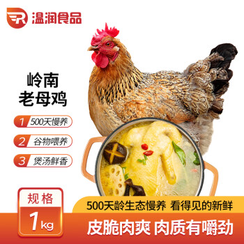 温润食品岭南老母鸡1kg散养老母鸡500天龄以上放养走地鸡土鸡冷冻生鲜整鸡